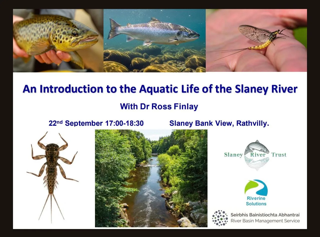An Introduction to the Aquatic Life of the Slaney River flyer