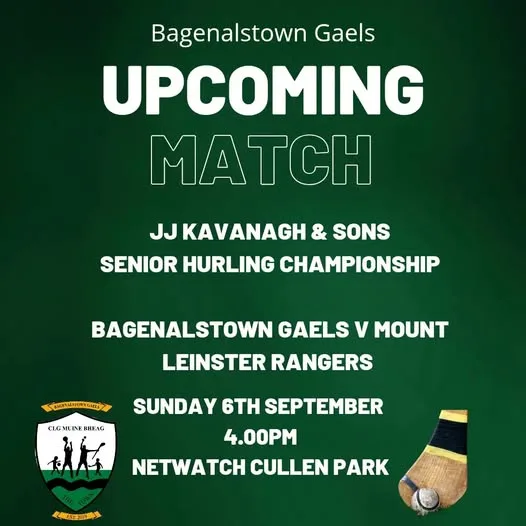 Bagenalstown Gaels v Mount Leinster Rangers (Senior Hurling Championship) flyer