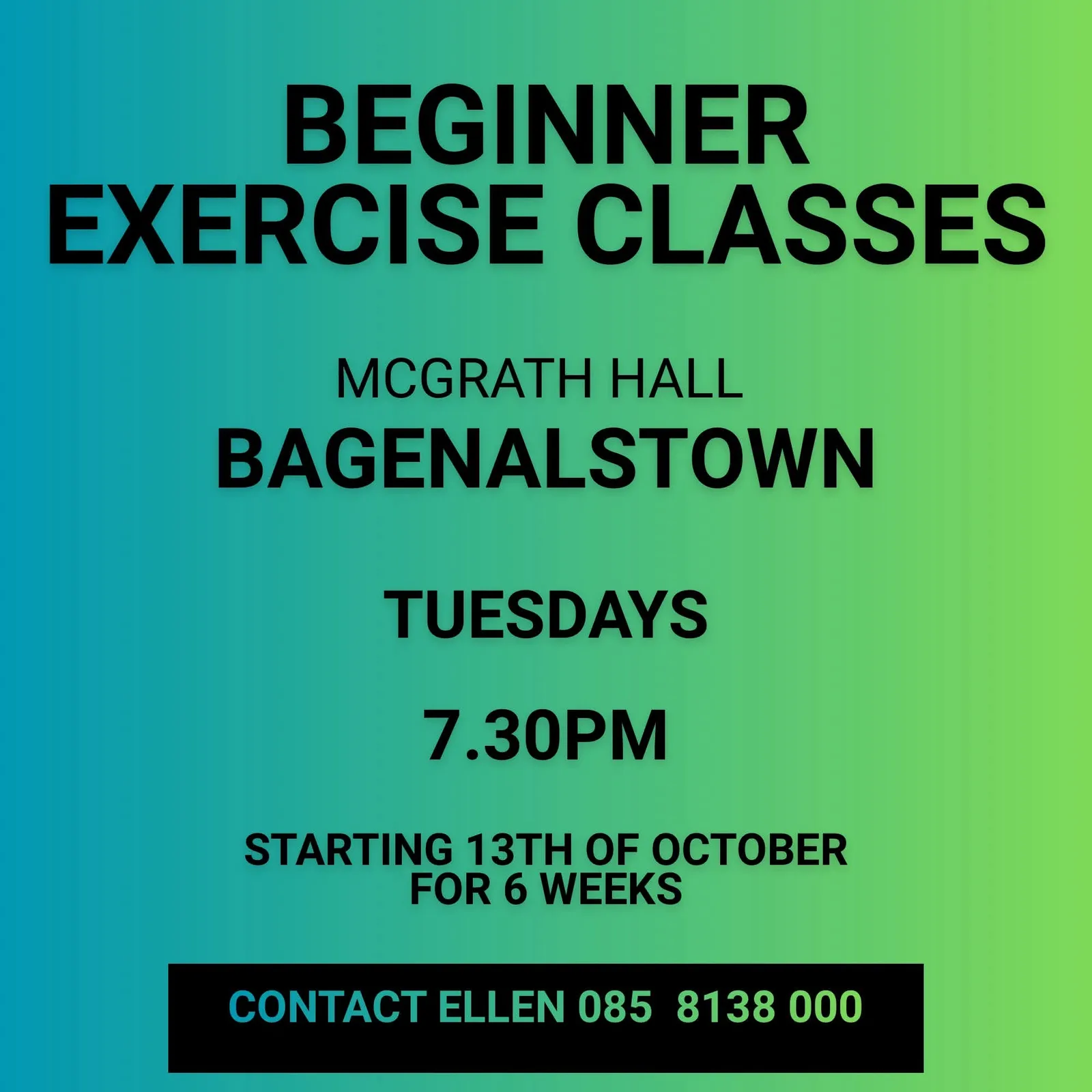 Beginner Exercise Classes flyer