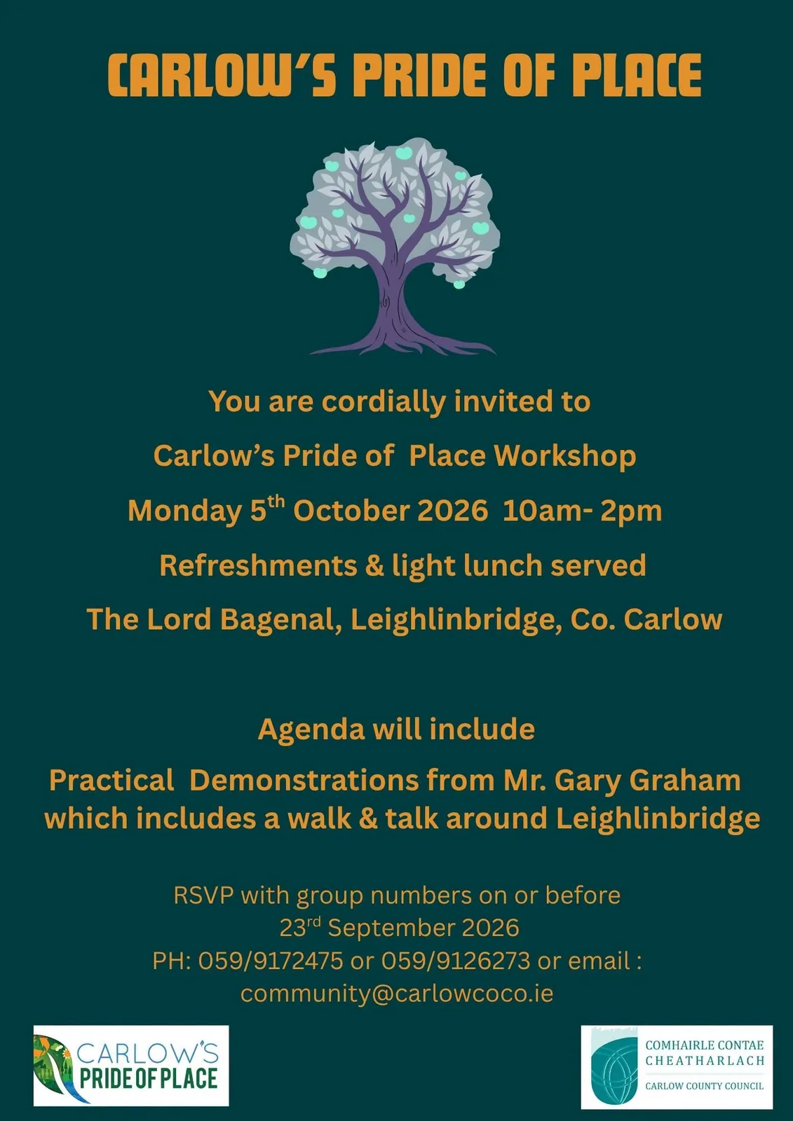 Carlow's Pride of Place Workshop flyer