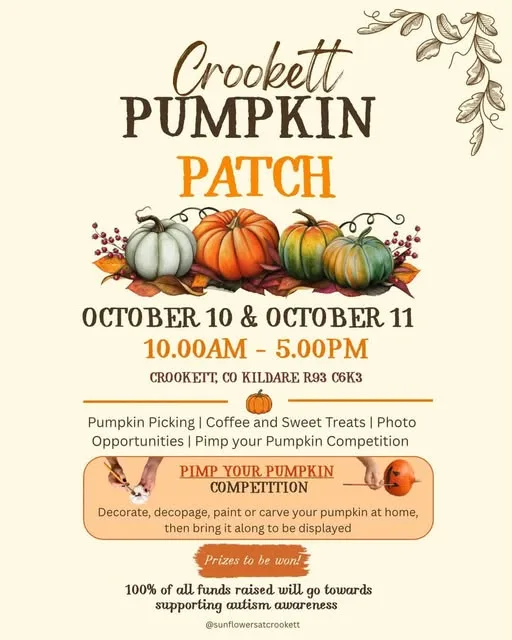 Crookett Pumpkin Patch flyer