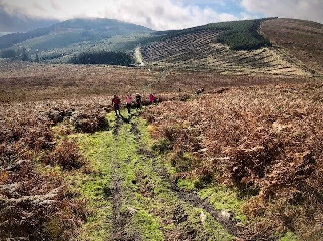 Carlow Autumn Walking Festival 2026 flyer