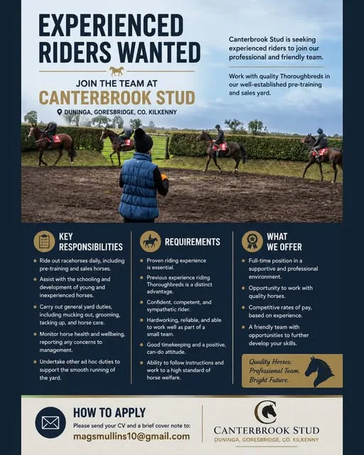 Experienced Riders Wanted — Canterbrook Stud, Duninga, Goresbridge flyer