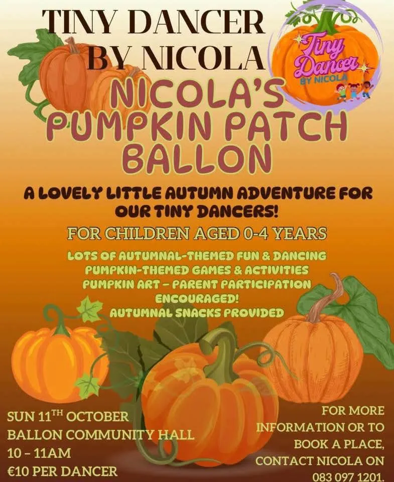 Nicola's Pumpkin Patch Ballon flyer