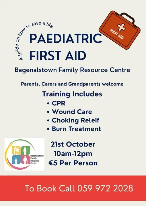 Paediatric First Aid — A Guide on How to Save a Life flyer