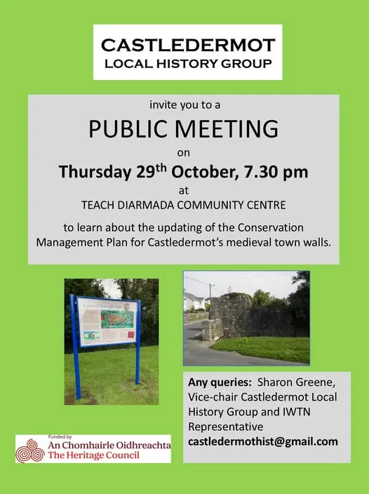 Public Meeting — Conservation Management Plan for Castledermot’s Medieval Town Walls flyer
