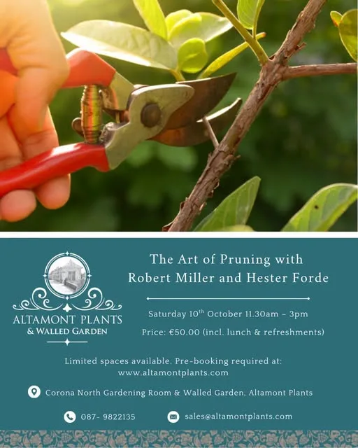 The Art of Pruning with Robert Miller and Hester Forde flyer