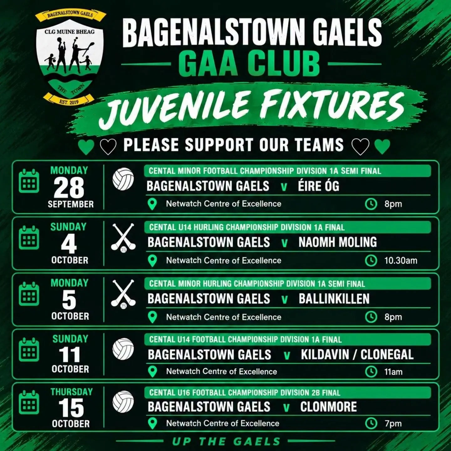 U14 Football Championship Division 1A Final — Bagenalstown Gaels v Kildavin/Clonegal flyer