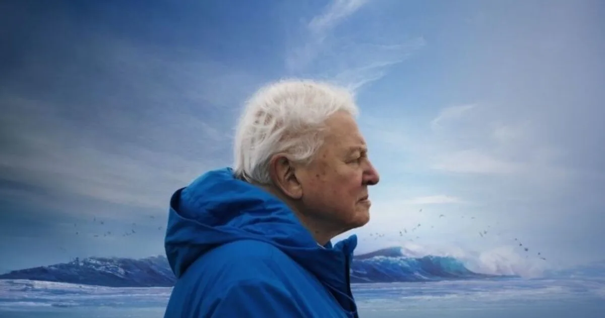 Ocean With David Attenborough flyer