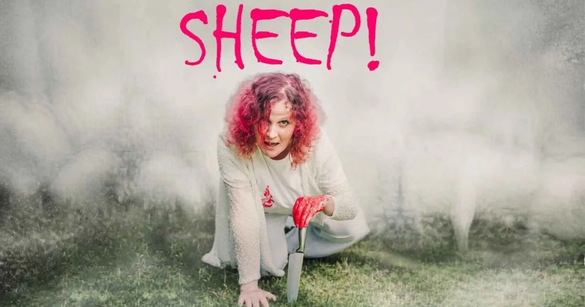 Sheep! flyer