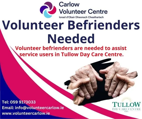Volunteer Befrienders Needed — Tullow Day Care Centre flyer