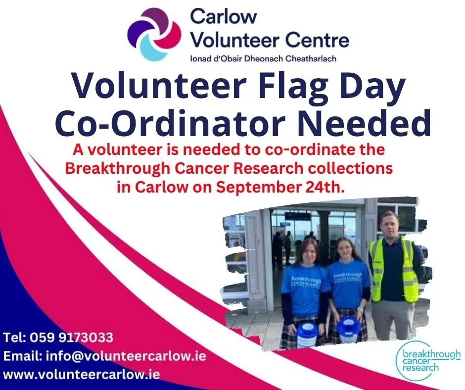 Volunteer Flag Day Co-Ordinator Needed flyer