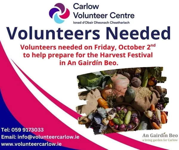 Volunteers Needed — Harvest Festival Prep flyer