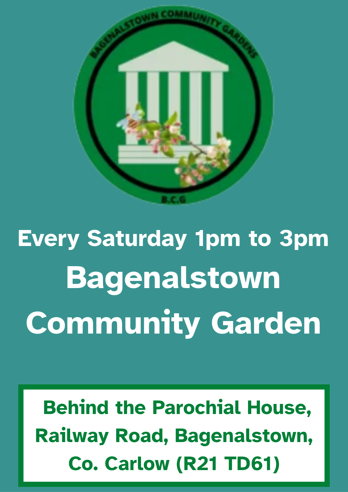 Bagenalstown Community Garden — Saturday Session flyer