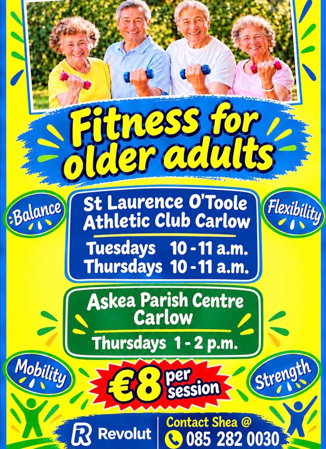 Fitness Exercise Classes for Older Adults flyer